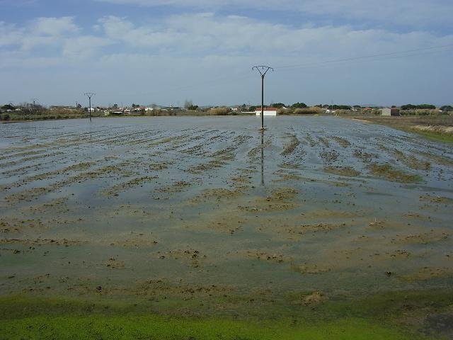 FINCA EN VENTA EN DON BENITO (ARAGONÉS)