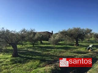 PARCELA EN VENTA EN GUAREÑA