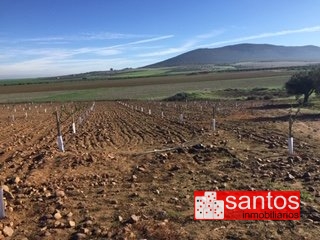 FINCA EN VENTA EN DON BENITO