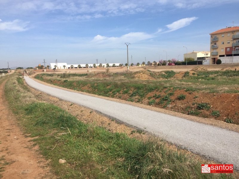 FINCA EN VENTA EN VILLANUEVA DE LA SERENA
