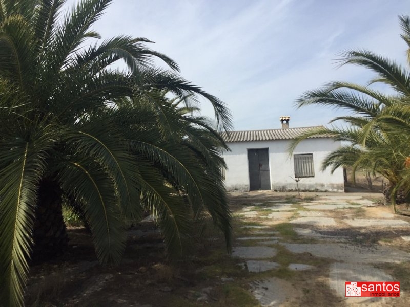FINCA EN VENTA EN VILLANUEVA DE LA SERENA