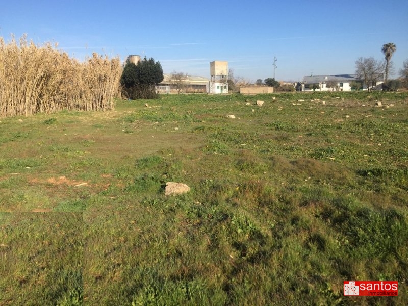 PARCELA EN VENTA EN VILLANUEVA DE LA SERENA