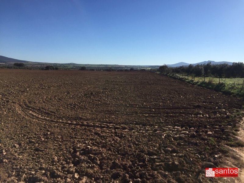 FINCA EN VENTA EN DON BENITO