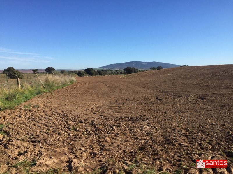 FINCA EN VENTA EN DON BENITO