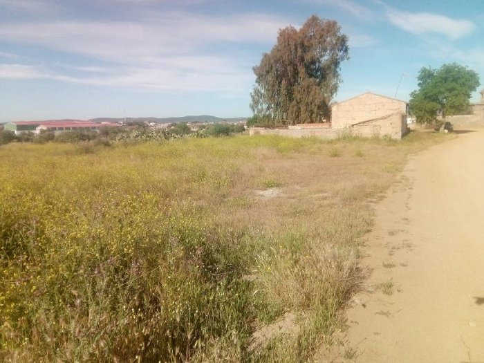PARCELA EN VENTA EN QUINTANA DE LA SERENA