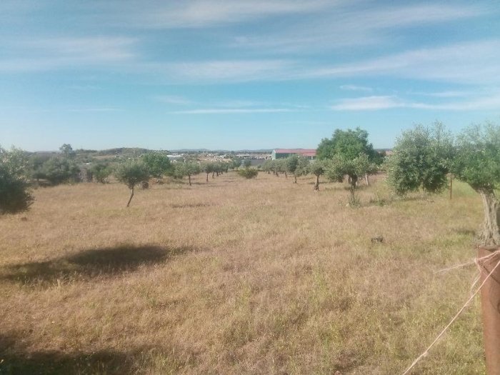 PARCELA EN VENTA EN QUINTANA DE LA SERENA
