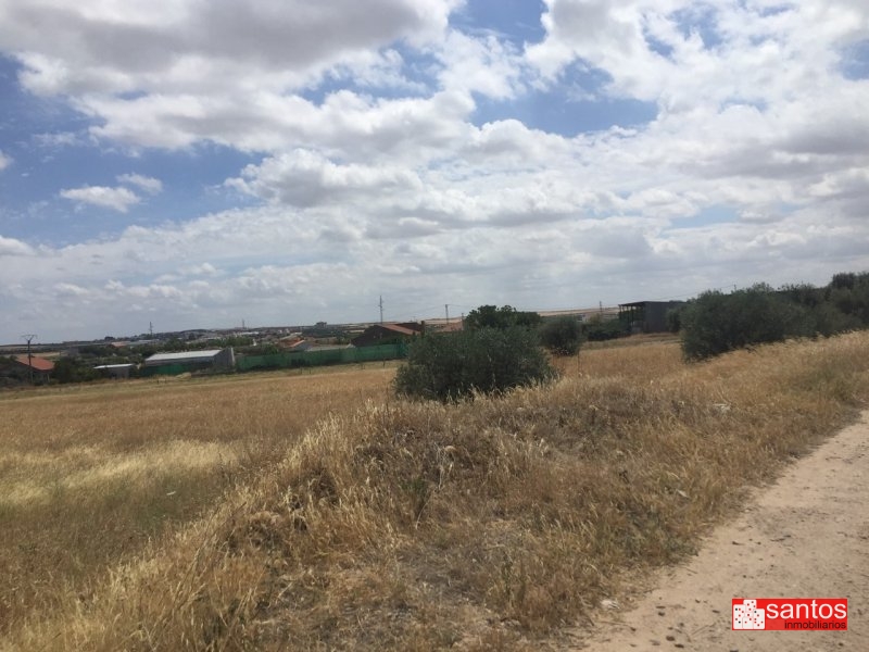 PARCELA EN VENTA EN DON BENITO (BUENA ESTRENA)