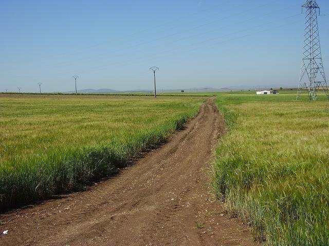 PARCELA EN VENTA EN DON BENITO