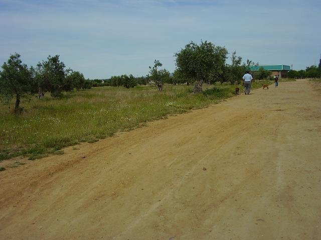 PARCELA EN VENTA EN VILLANUEVA DE LA SERENA (CTRA. DE CIRCUNVALACIÓN)