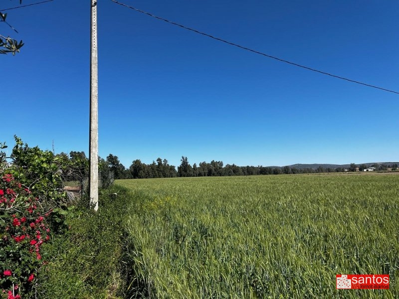 FINCA EN VENTA EN DON BENITO
