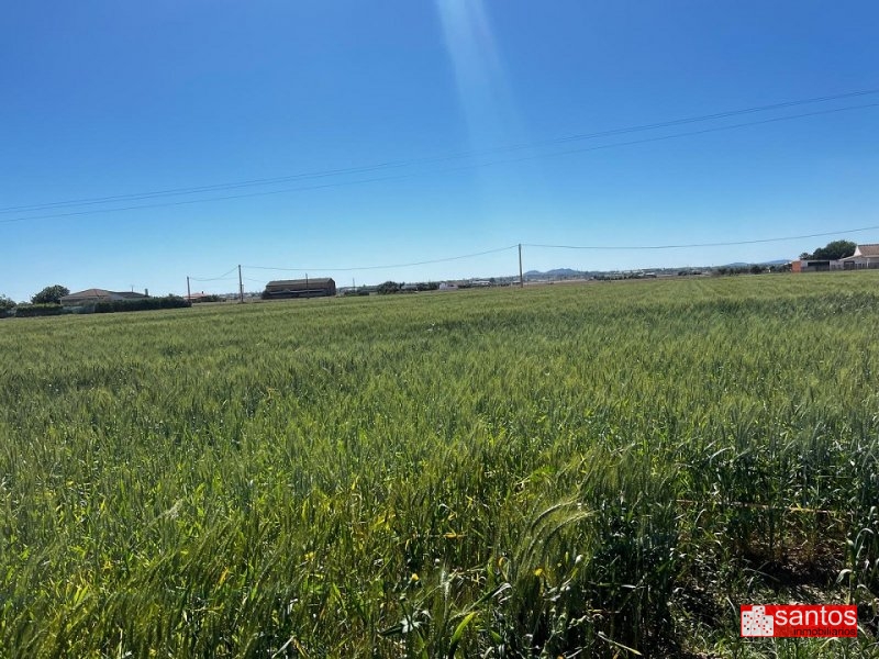 FINCA EN VENTA EN DON BENITO