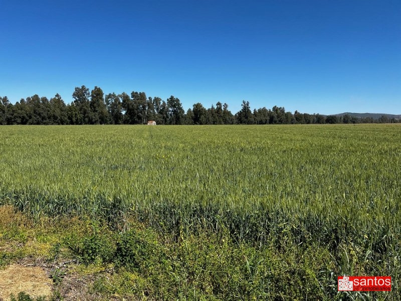 FINCA EN VENTA EN DON BENITO