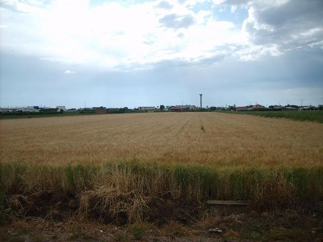 PARCELA EN VENTA EN VILLANUEVA DE LA SERENA (LA PARRILLA)