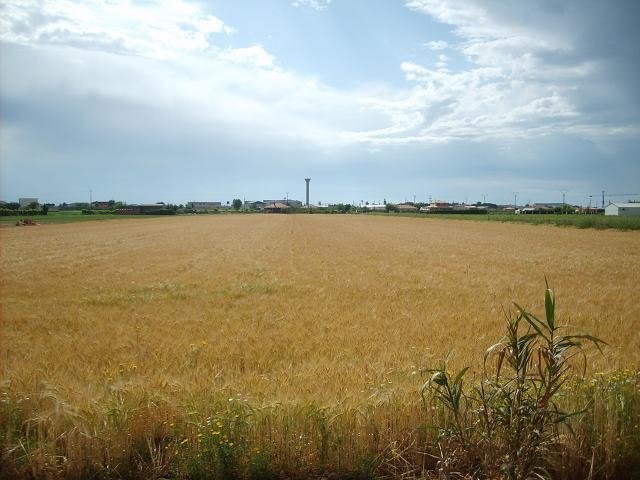 PARCELA EN VENTA EN VILLANUEVA DE LA SERENA (LA PARRILLA)