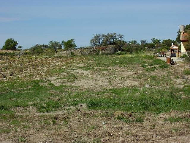 PARCELA EN VENTA EN VILLANUEVA DE LA SERENA