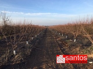 PARCELA EN VENTA EN ENTRERRIOS