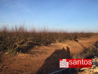 PARCELA EN VENTA EN ENTRERRIOS