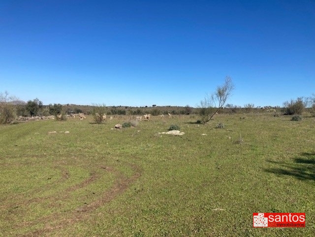 FINCA EN VENTA EN CAMPANARIO