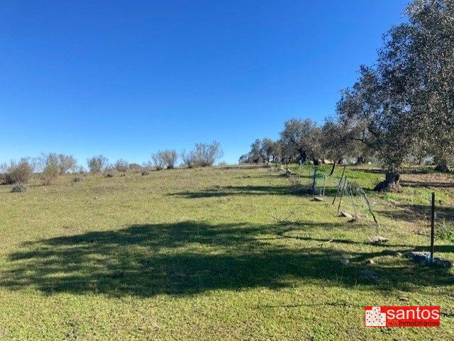 FINCA EN VENTA EN CAMPANARIO