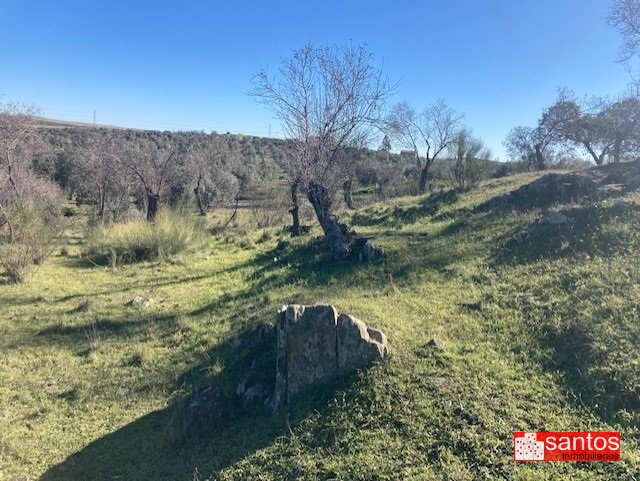FINCA EN VENTA EN CAMPANARIO