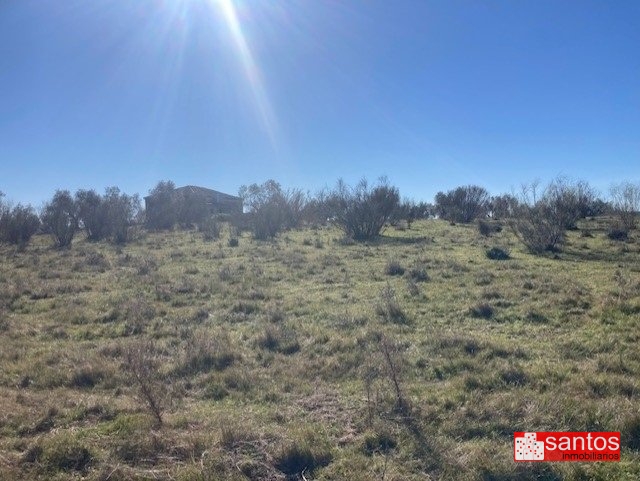 FINCA EN VENTA EN CAMPANARIO