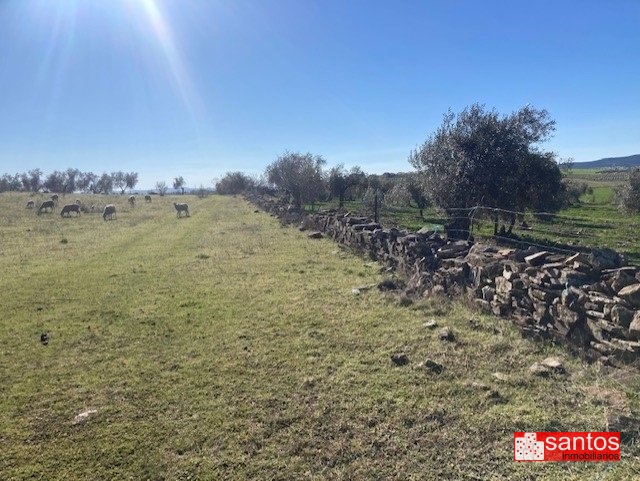 FINCA EN VENTA EN CAMPANARIO