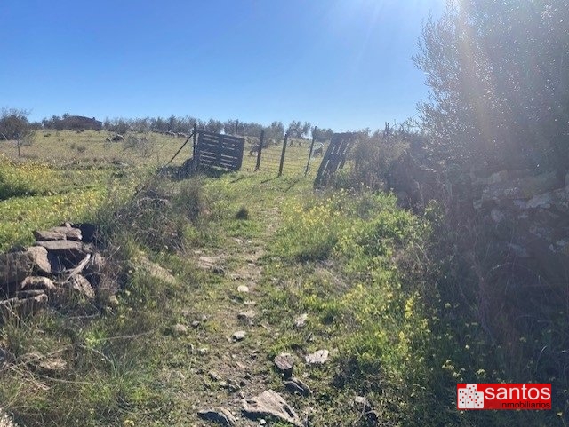 FINCA EN VENTA EN CAMPANARIO