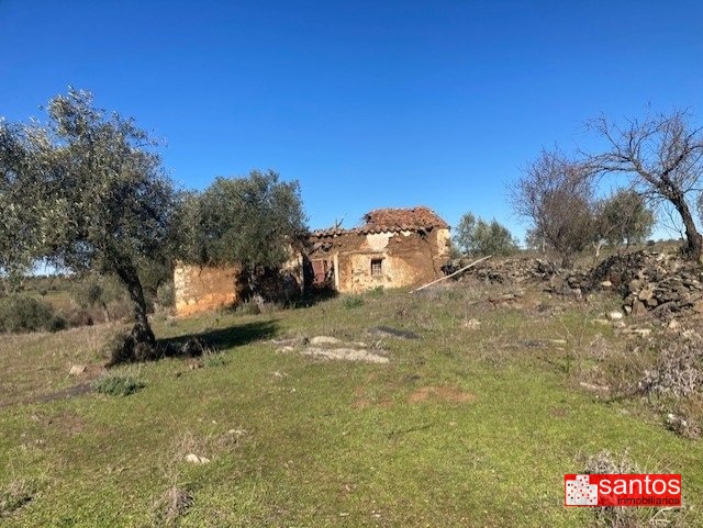 FINCA EN VENTA EN CAMPANARIO