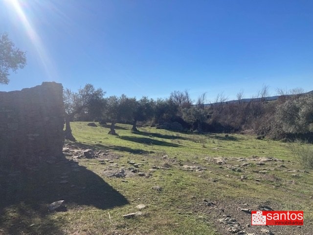 FINCA EN VENTA EN CAMPANARIO
