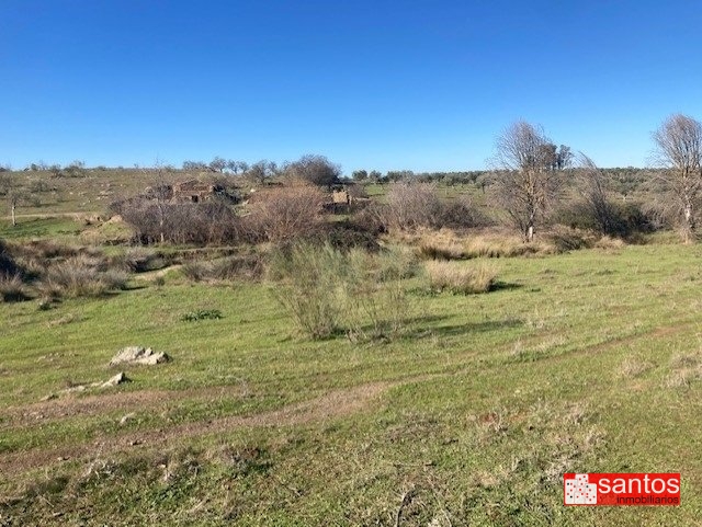 FINCA EN VENTA EN CAMPANARIO
