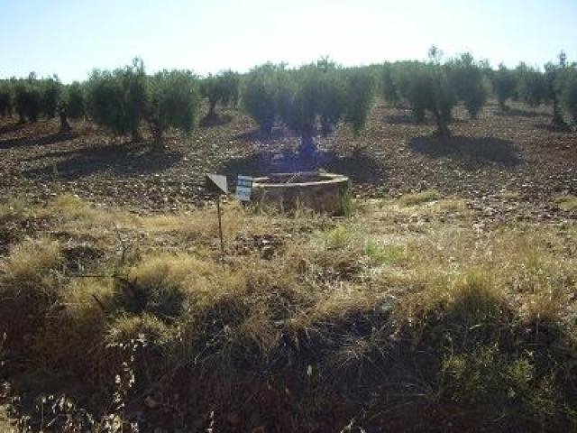 PARCELA EN VENTA EN DON BENITO (LAS CRUCES)