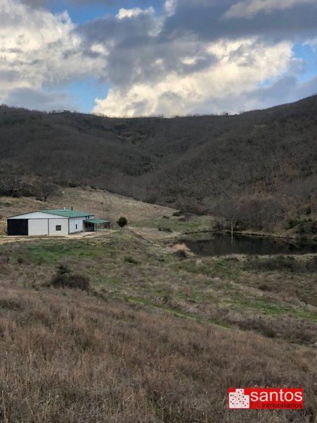 FINCA EN VENTA EN BERZOCANA