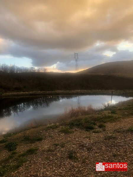 FINCA EN VENTA EN BERZOCANA