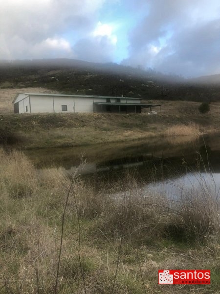 FINCA EN VENTA EN BERZOCANA