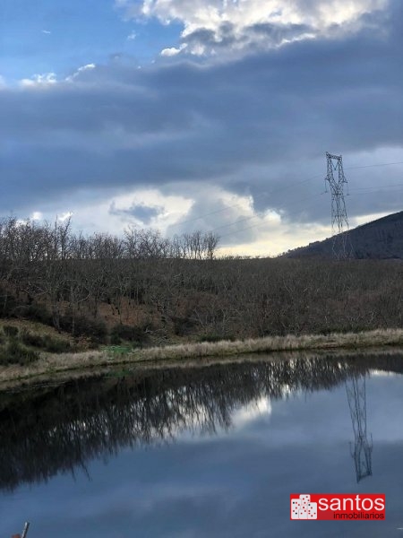 FINCA EN VENTA EN BERZOCANA