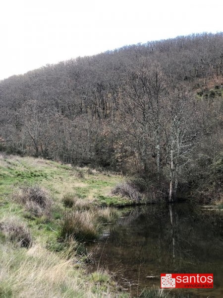 FINCA EN VENTA EN BERZOCANA
