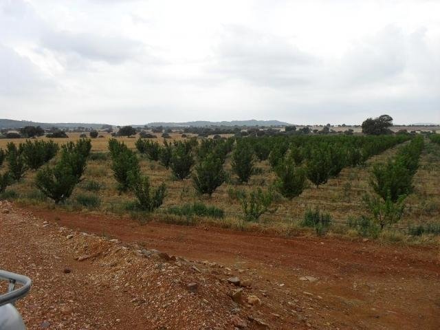 FINCA EN VENTA EN LA HABA (LAS CRUCES)