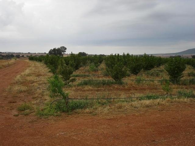 FINCA EN VENTA EN LA HABA (LAS CRUCES)