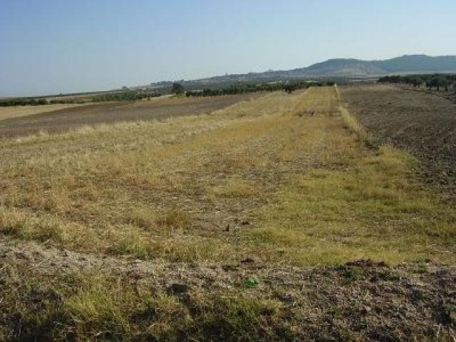FINCA EN VENTA EN LA HABA