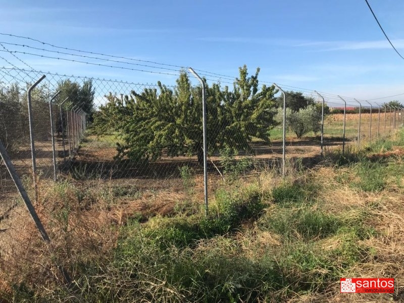 PARCELA EN VENTA EN MENGABRIL