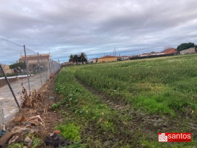 PARCELA EN VENTA EN DON BENITO