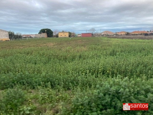 PARCELA EN VENTA EN DON BENITO