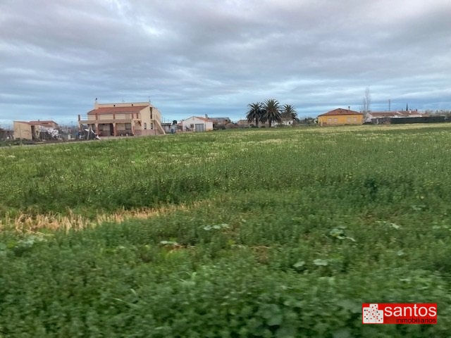 PARCELA EN VENTA EN DON BENITO