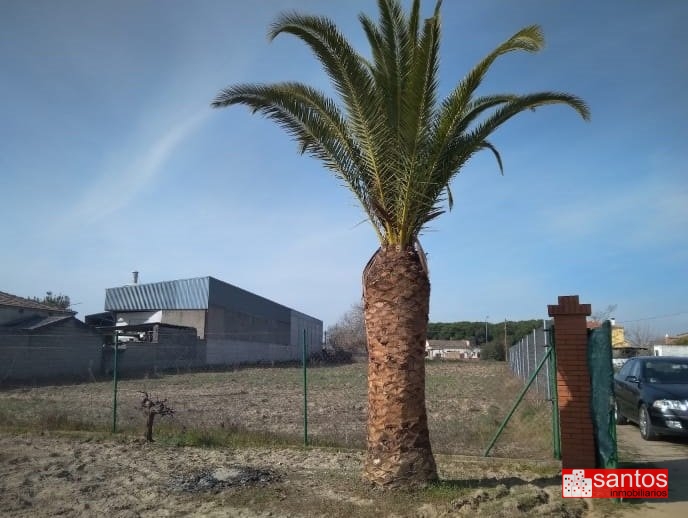 PARCELA EN VENTA EN DON BENITO (LAS ARENAS)