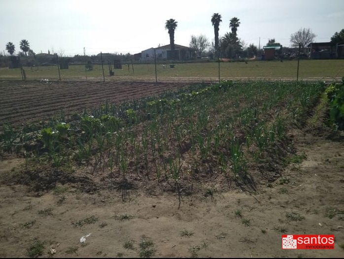 PARCELA EN VENTA EN DON BENITO (LAS ARENAS)