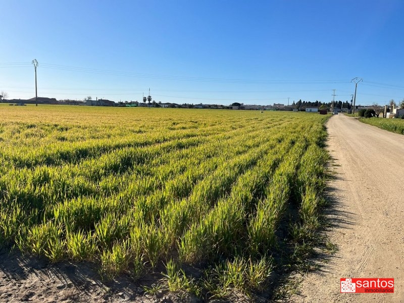 PARCELA EN VENTA EN DON BENITO (LAS ARENAS)