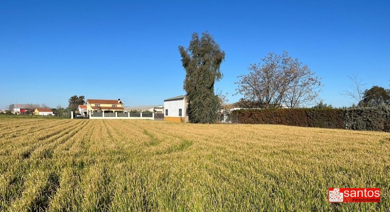 PARCELA EN VENTA EN DON BENITO (LAS ARENAS)