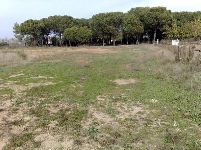 PARCELA EN VENTA EN DON BENITO (LAS ARENAS)