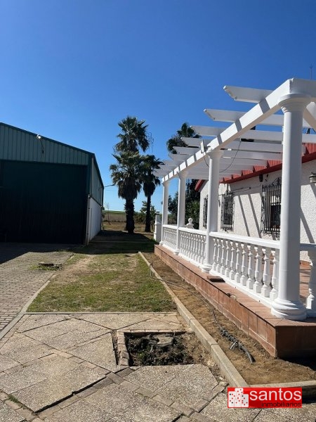CHALET EN VENTA EN DON BENITO (AVDA. DE LA CONSTITUCIÓN)