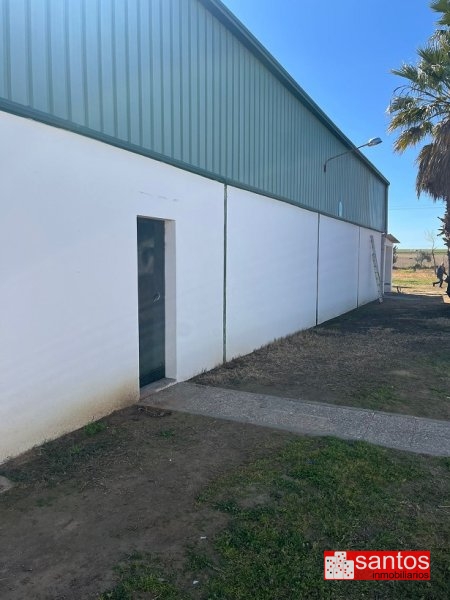 CHALET EN VENTA EN DON BENITO (AVDA. DE LA CONSTITUCIÓN)